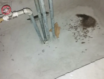 乌兰察布市卫生间测漏水价格明细